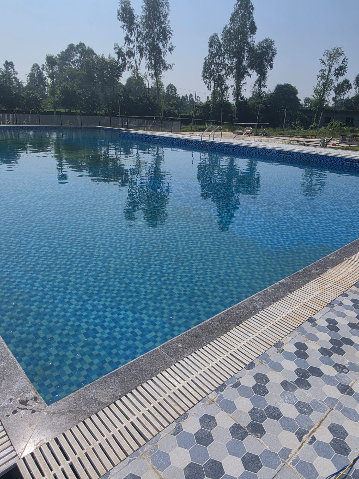 Hotel Batika swimming pool framed by trees